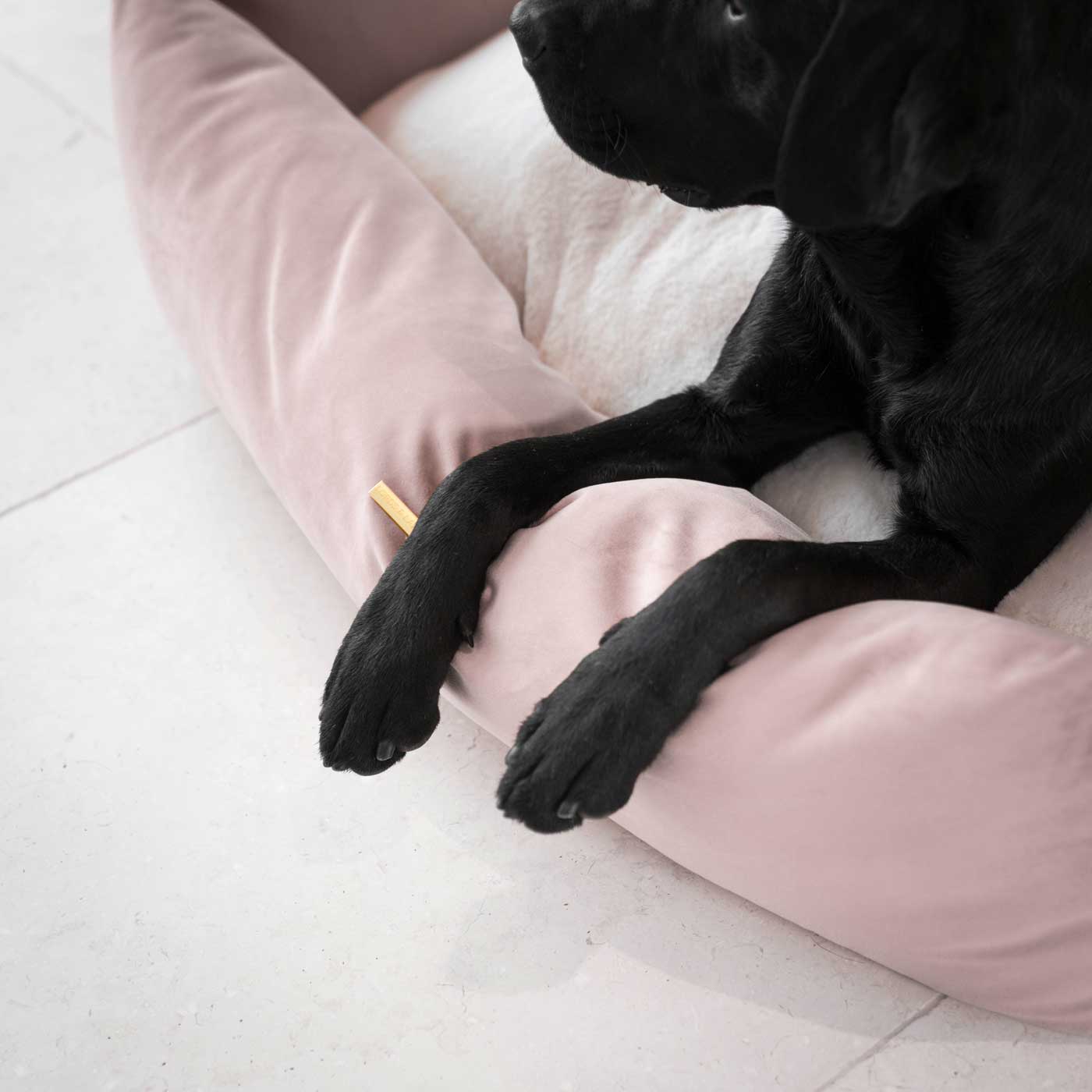 Deep-filled cushion detail on the Blossom Velvet Dog Box Bed