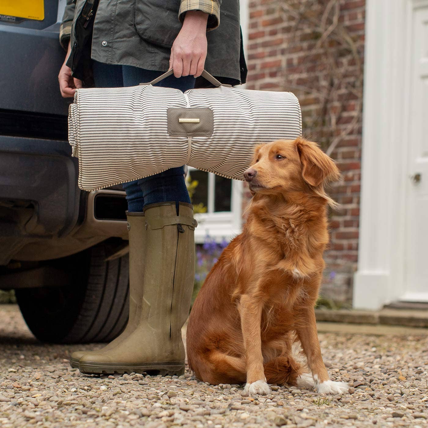 Person holding a rolled-up mat next to a brown dog outdoors.