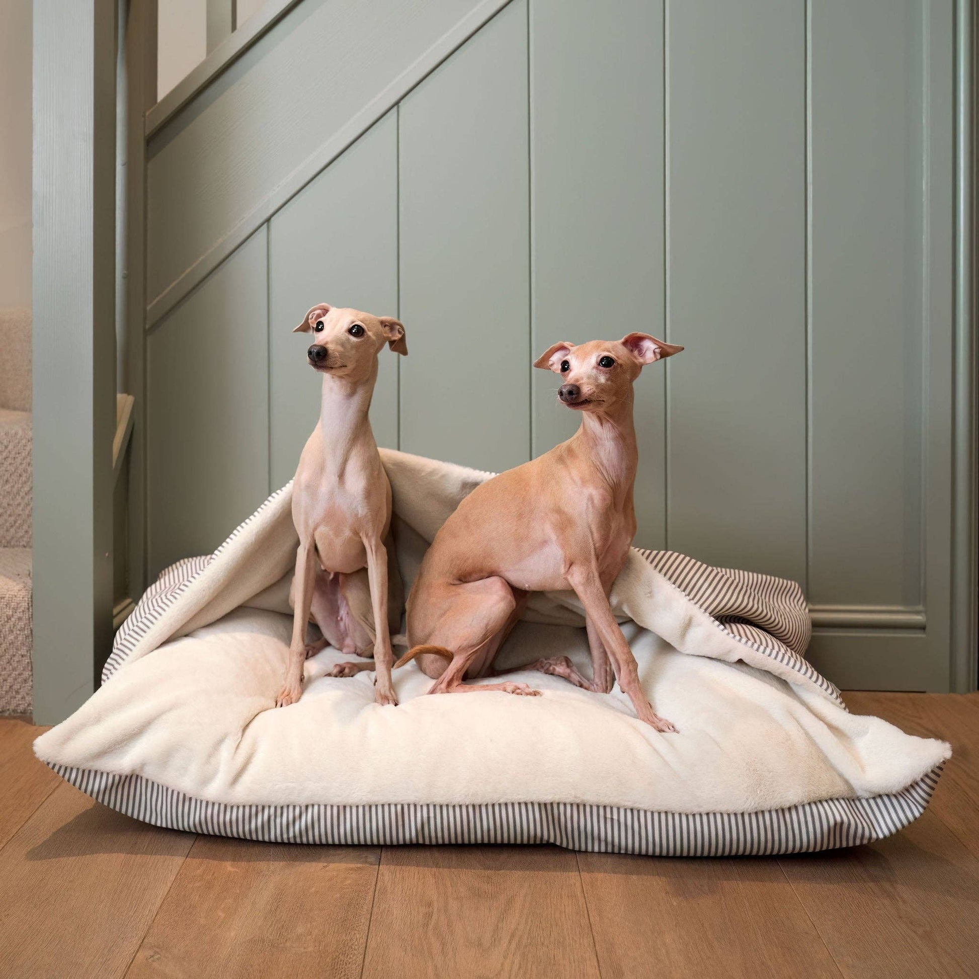 Hooded burrow detail on the Regency Stripe Sleepy Burrows Bed