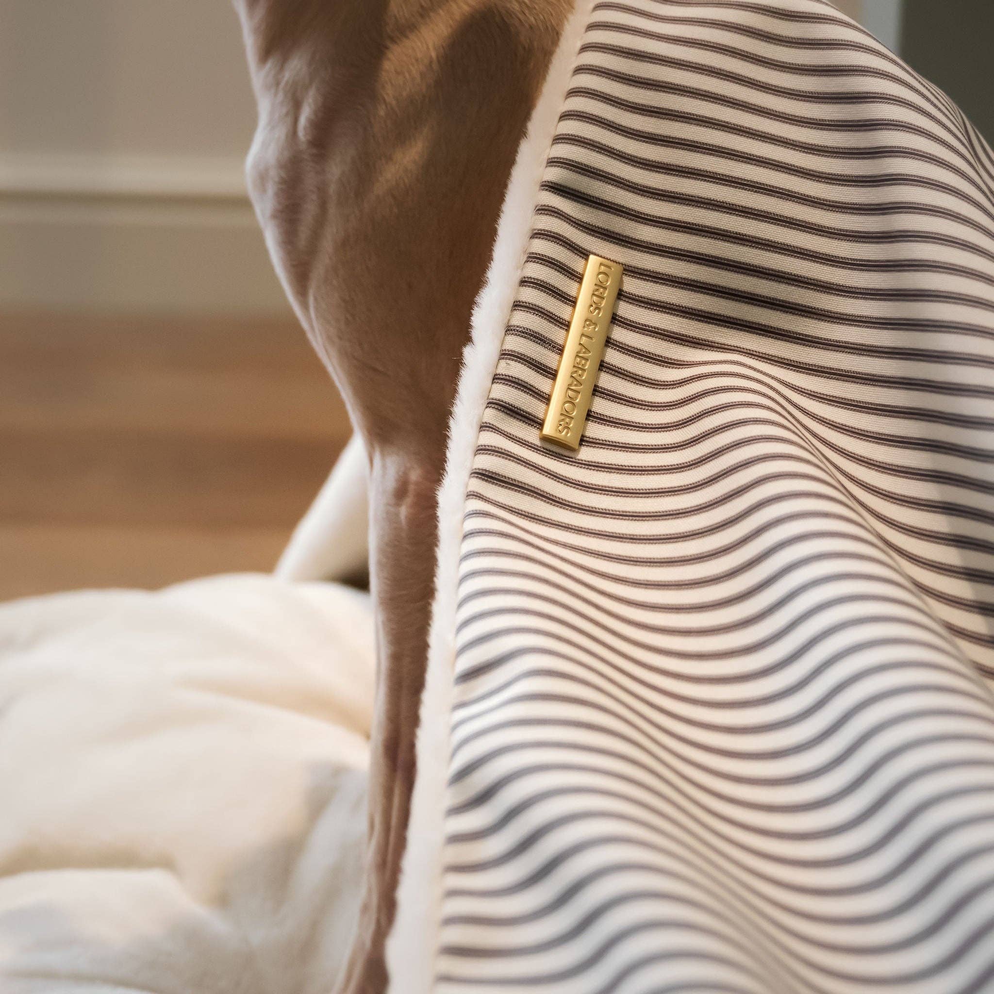 Soft plush interior lining inside the Regency Stripe Sleepy Burrows Bed