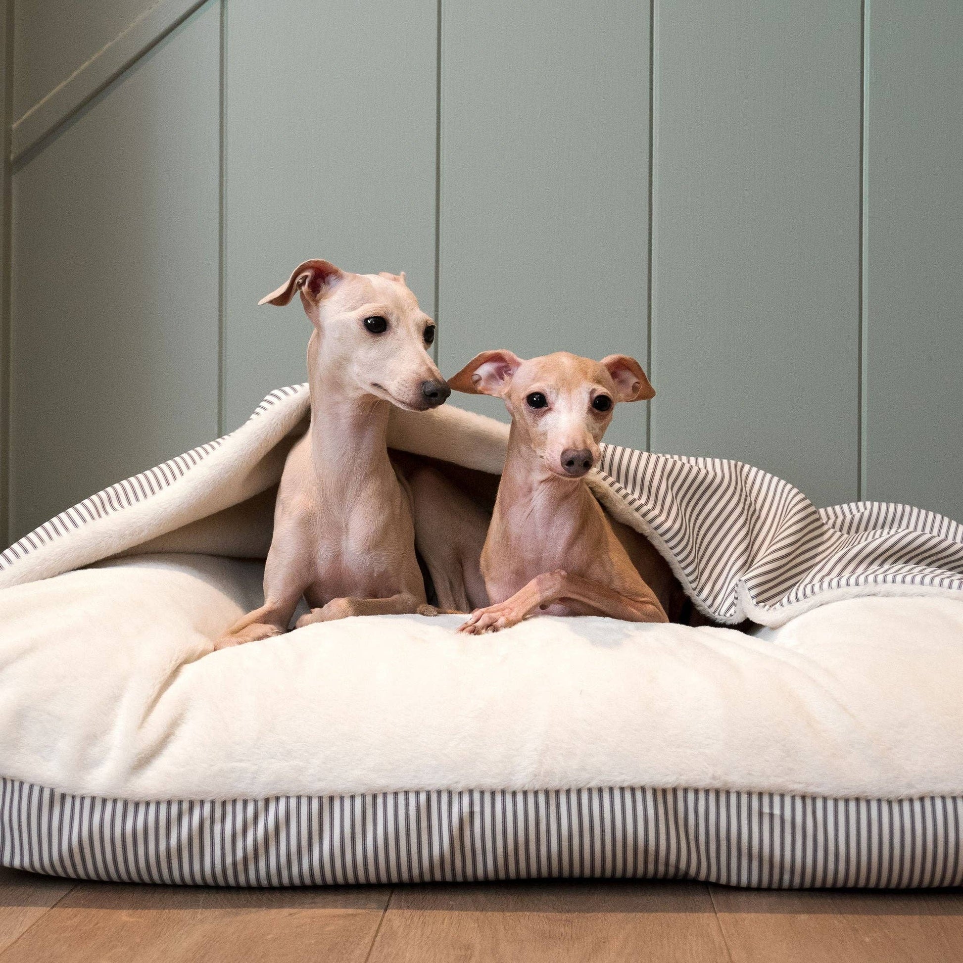 Dog relaxing inside the Sleepy Burrows Bed in Regency Stripe