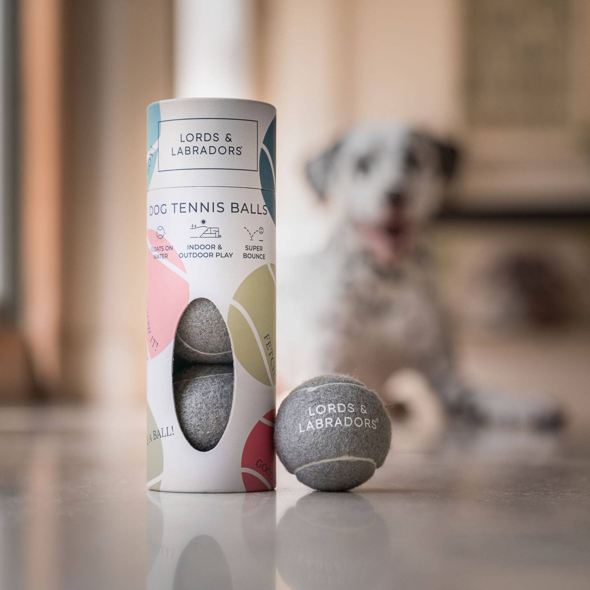Lords & Labradors dog tennis balls packaging with a dog in the background