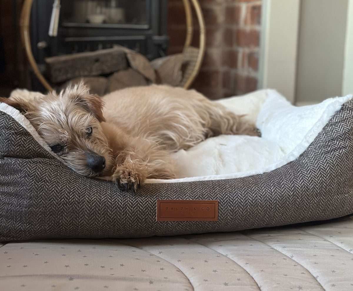 Lincoln Luxury Herringbone Tweed Dog Bed