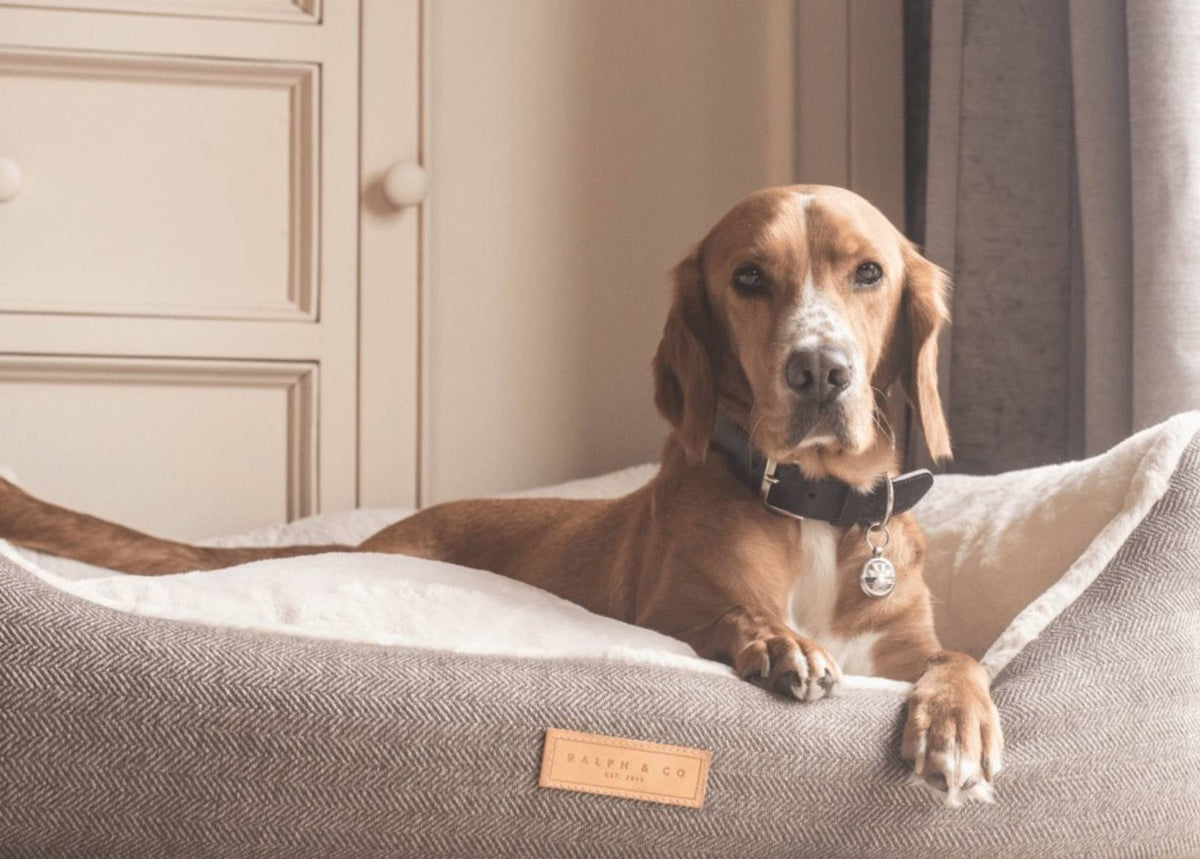 Lincoln Luxury Herringbone Tweed Dog Bed