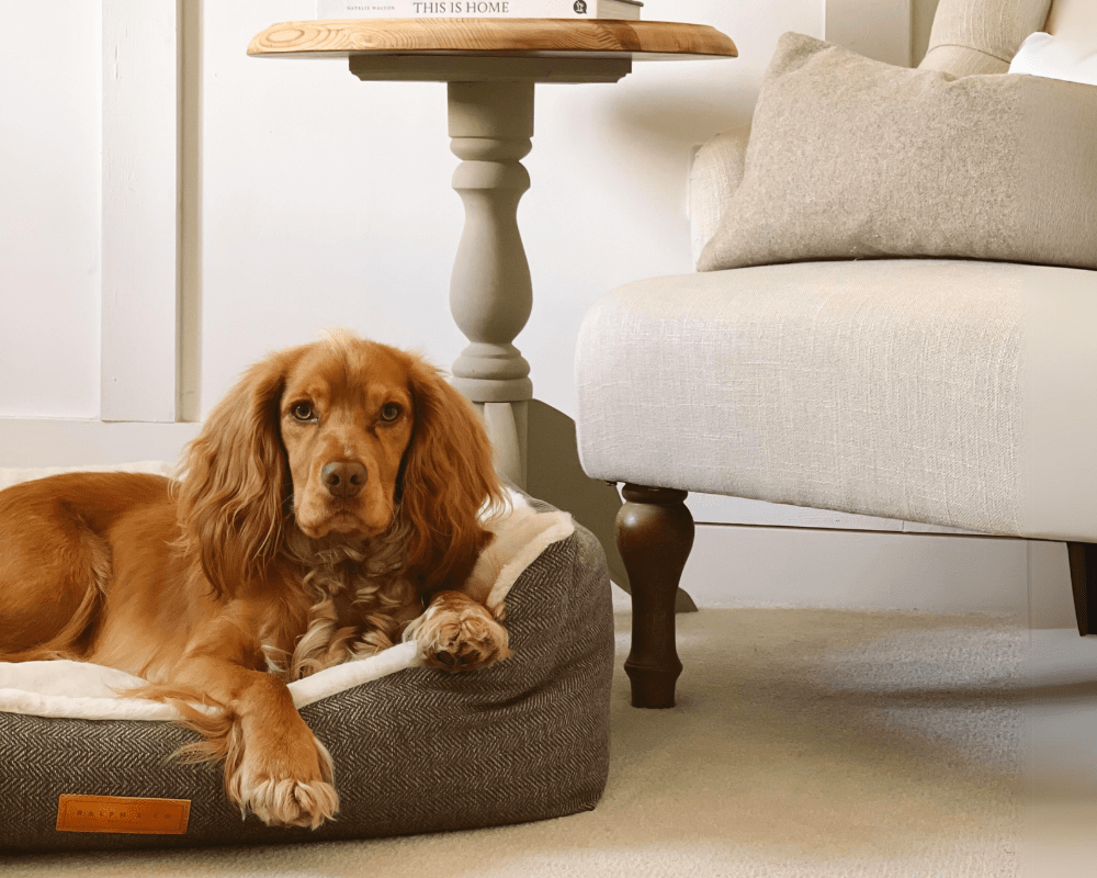 Lincoln Luxury Herringbone Tweed Dog Bed