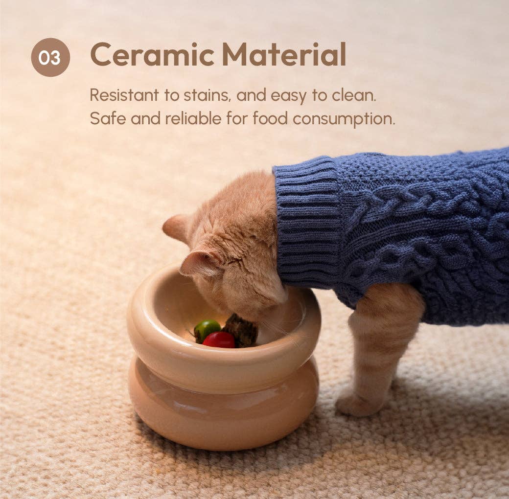 Cat wearing a blue sweater eating from a ceramic bowl on a beige carpet.