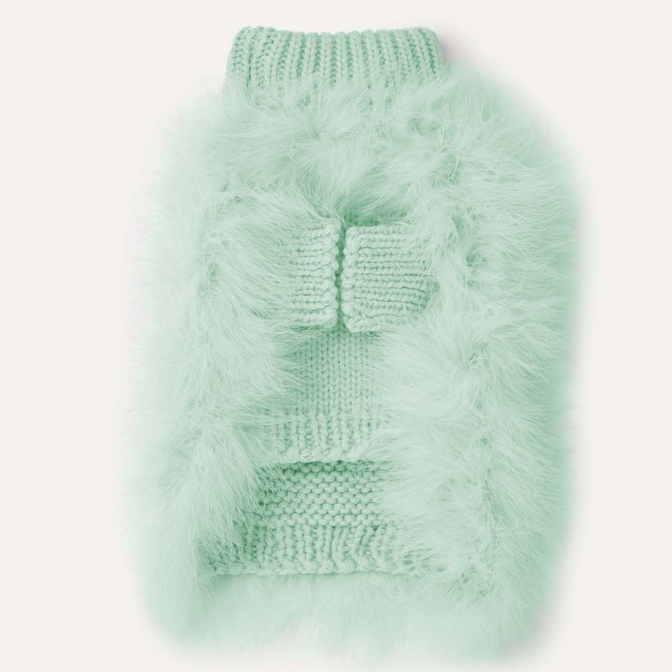 Mint designer dog jumper with feather detailing