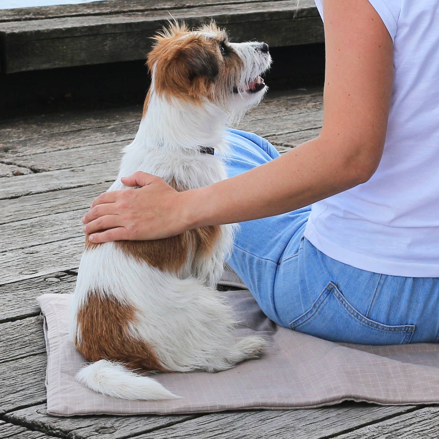 dog sitting on a luxury dog blanket mat 
