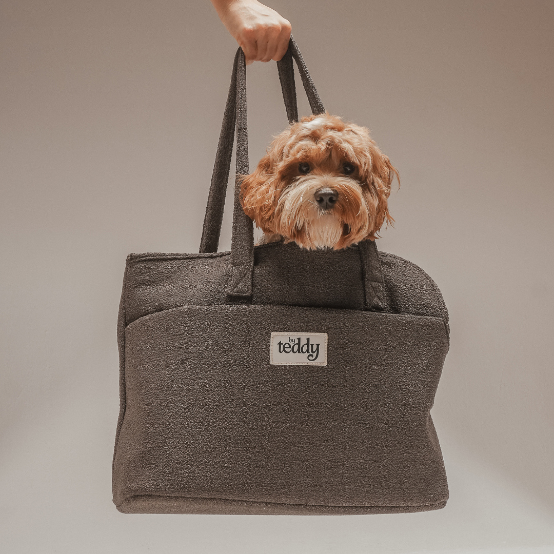 Dog inside a brown tote bag held by a person against a neutral background