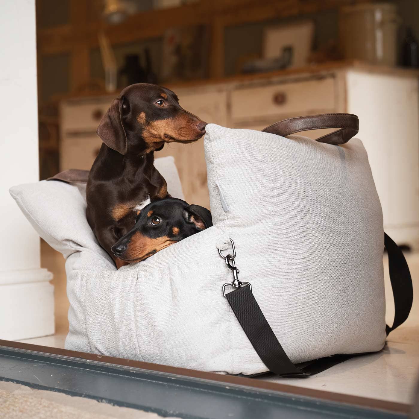 Two dogs inside a white pet bed with black straps on a wooden floor.
