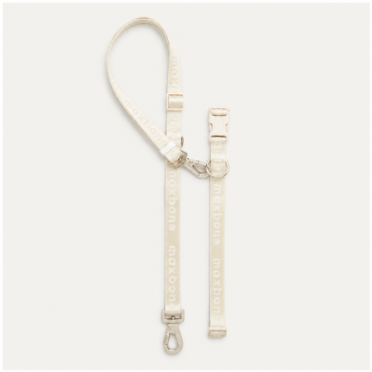 White dog leash with clips on a light gray background