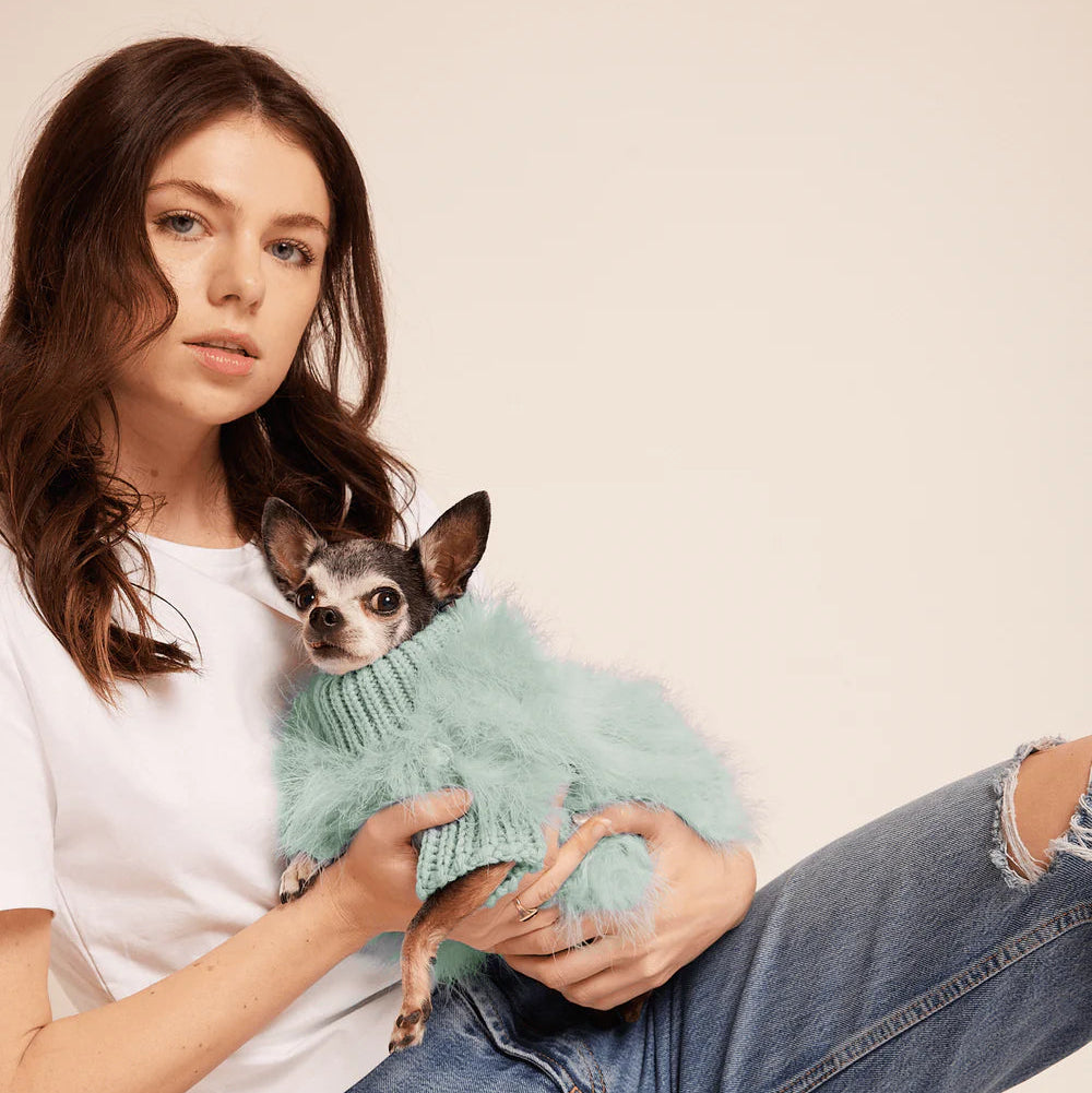 designer dog clothing mint