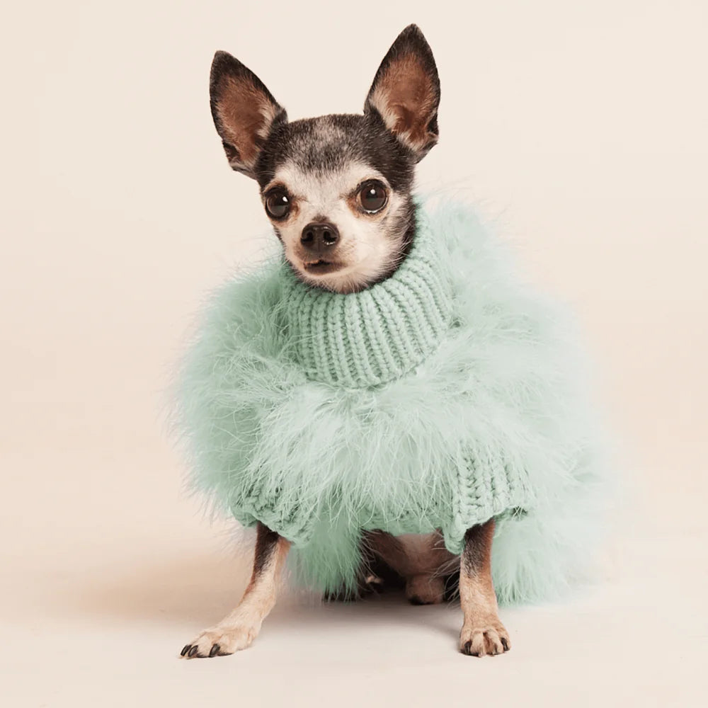 maxbone mint dog jumper for fashion-forward dogs