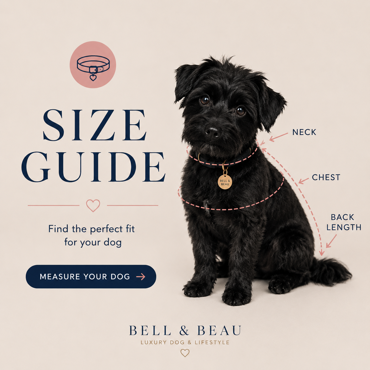 Bell & Beau 