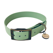A mint green dog collar with an antique bronze buckle and a round wooden brand tag engraved with 'ELISUNE'.