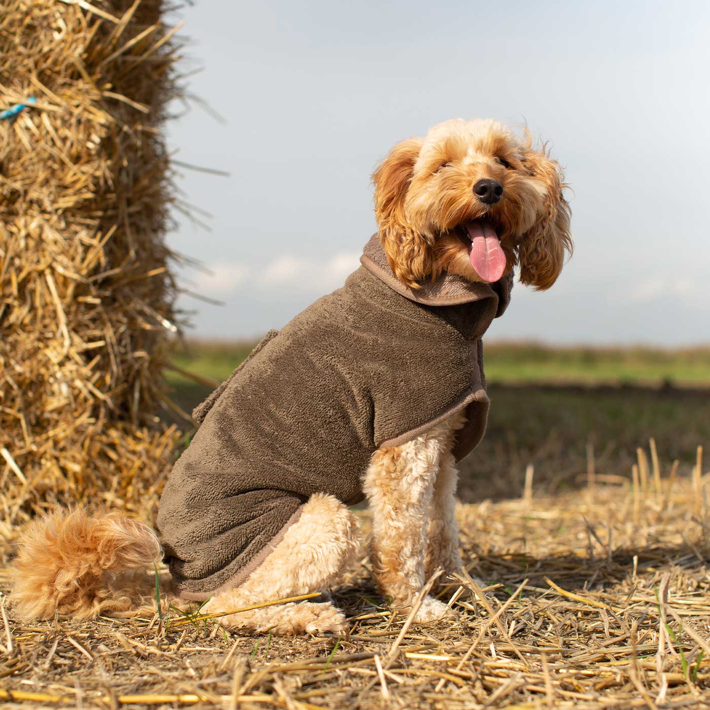 Mole brown bamboo dog drying coat