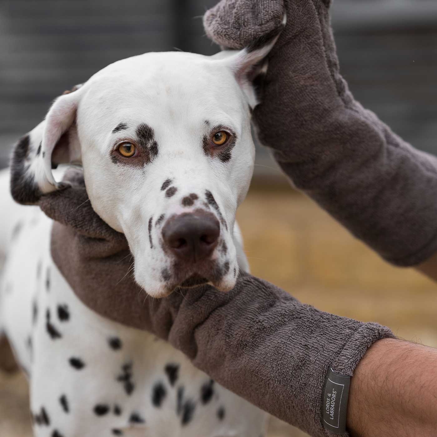 Mole bamboo drying mitts for dogs
