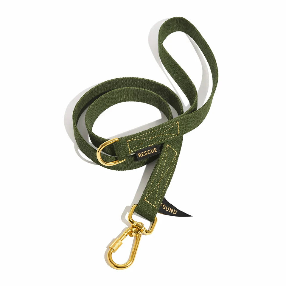 Green dog leash with gold clasp on a white background