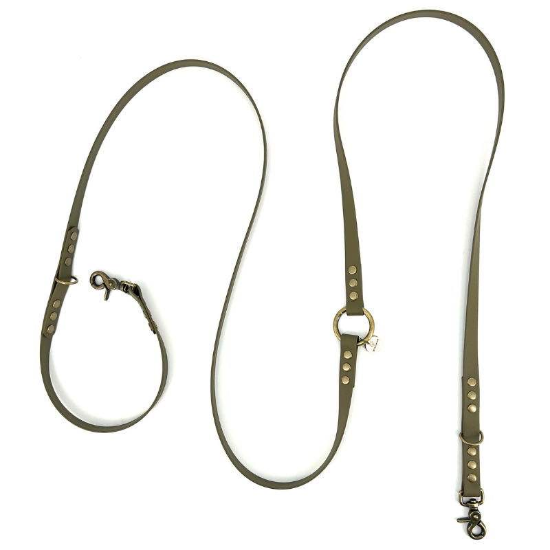 Olive green leather dog leash with brass hardware on a white background