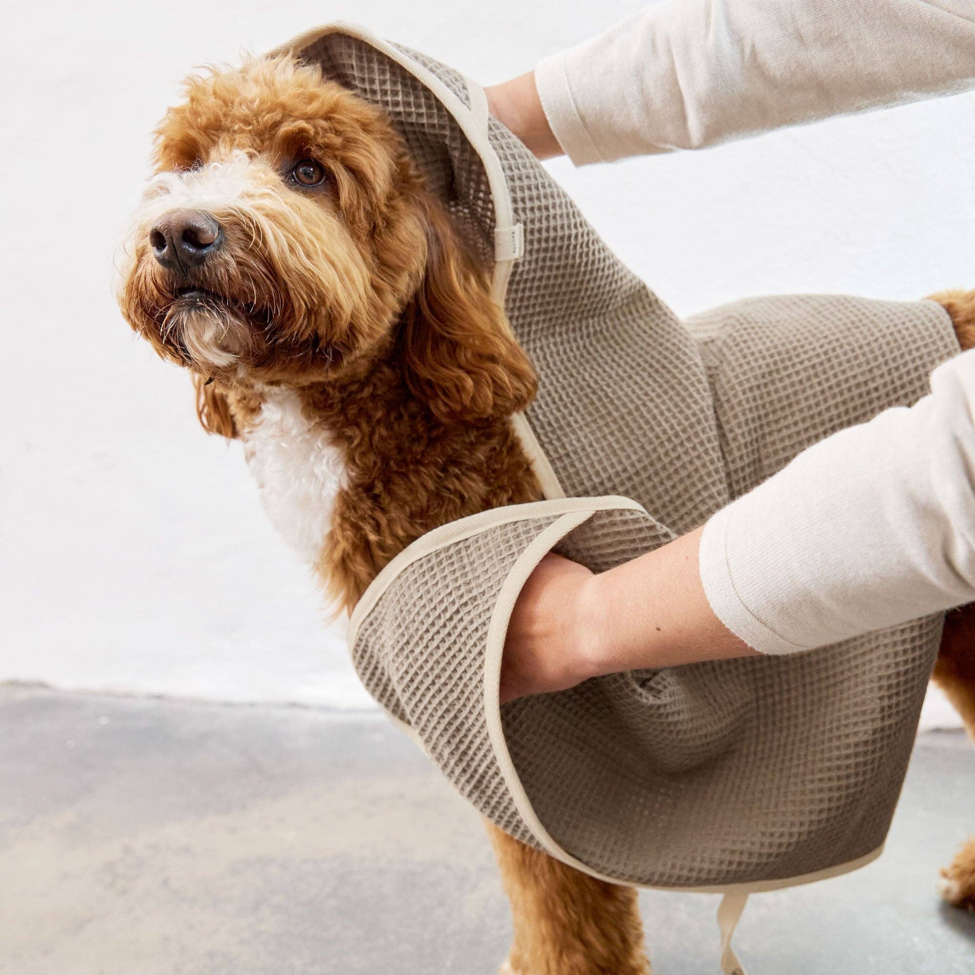 Premium dog drying towel for bath time walks and outdoor adventures