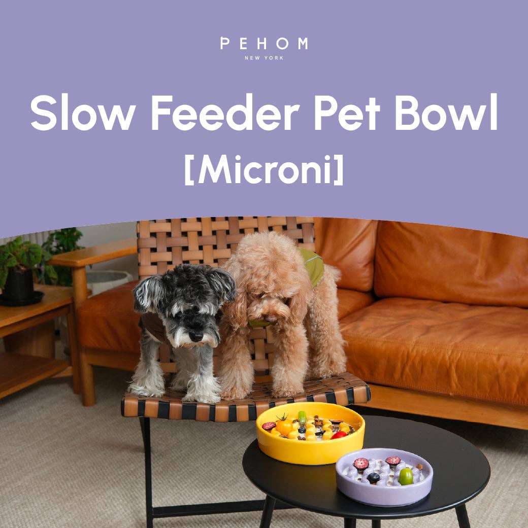 Two dogs standing on a chair with a 'PEHOM' slow feeder pet bowl in the foreground.