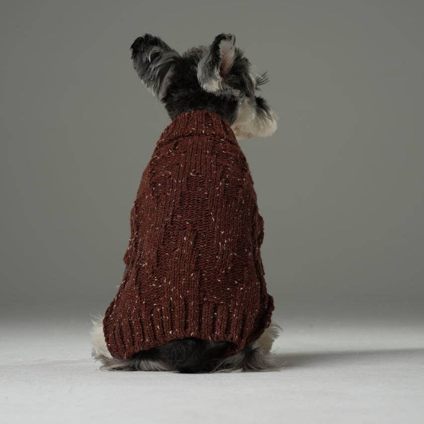 Dog wearing a brown knitted sweater on a plain background