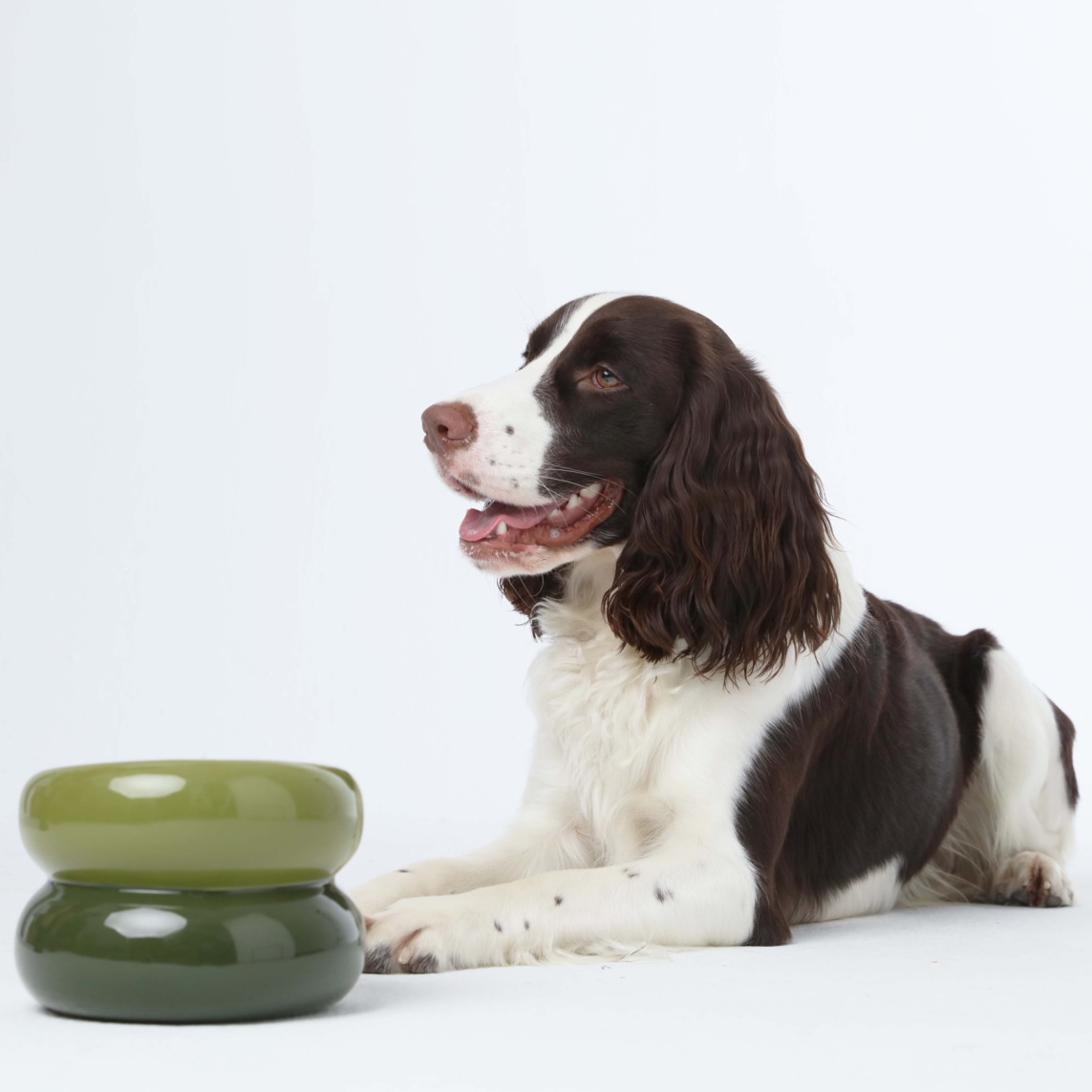 Side profile of the Soufflé Pet Bowl in Avocado Green