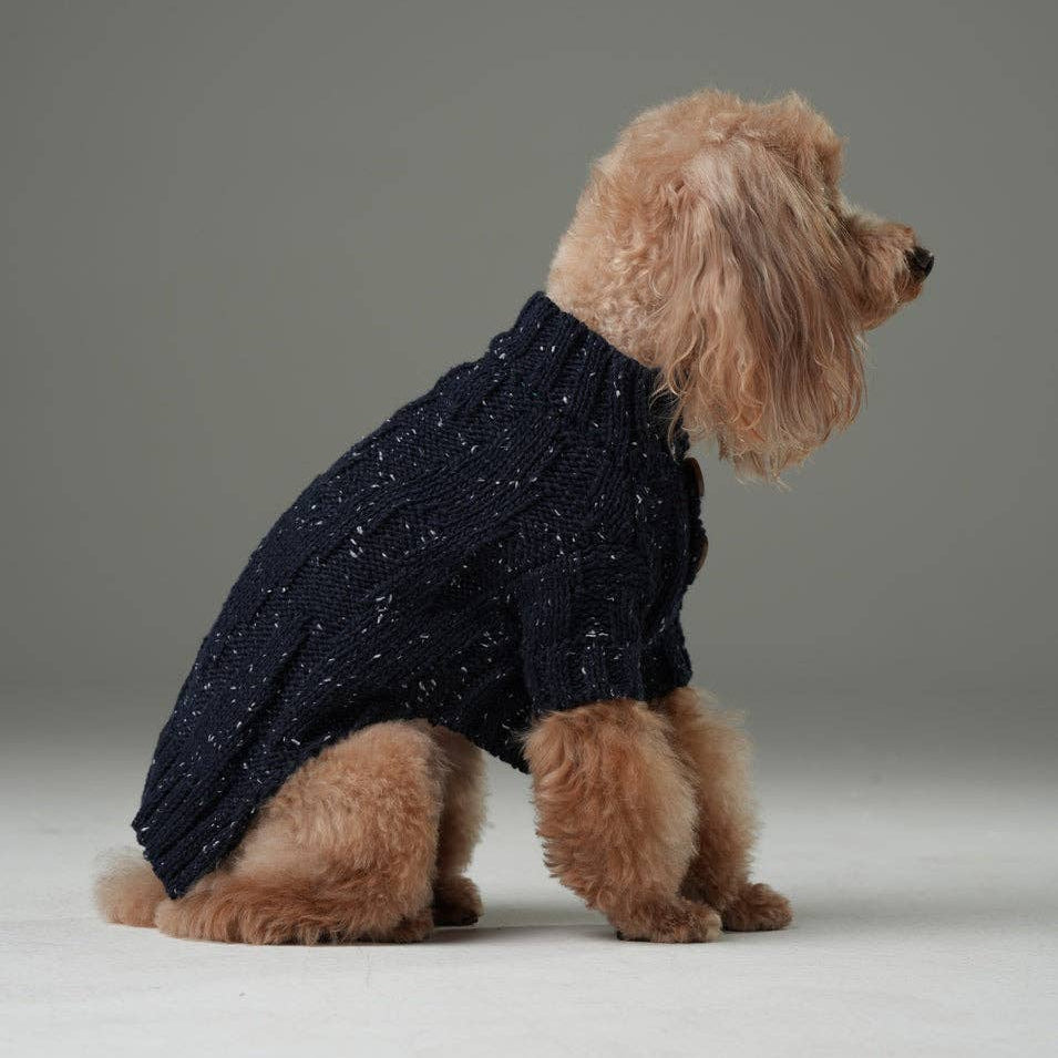 Small dog wearing a dark blue sweater on a gray background