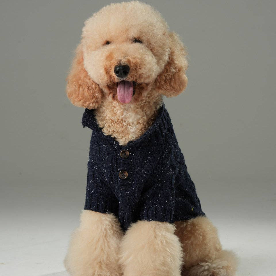 Dog wearing a dark blue sweater on a plain background