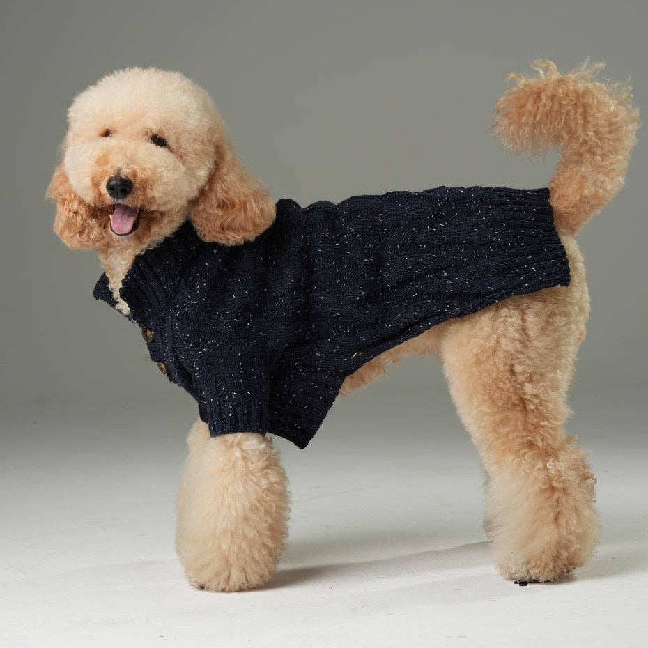 Dog wearing a dark blue sweater on a gray background
