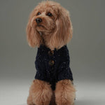 Small dog wearing a dark blue sweater with buttons on a gray background