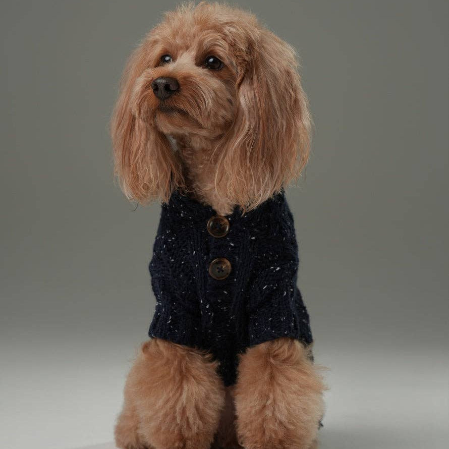 Small dog wearing a dark blue sweater with buttons on a gray background