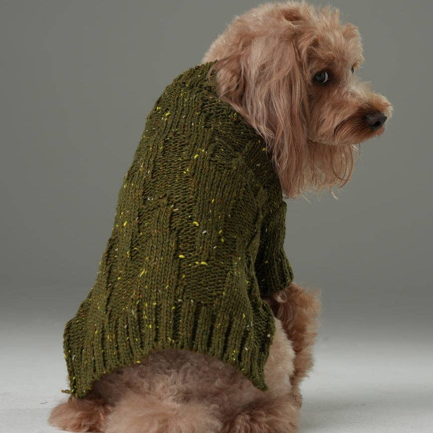 Dog wearing the Glacier Pet Sweater in Olive Green