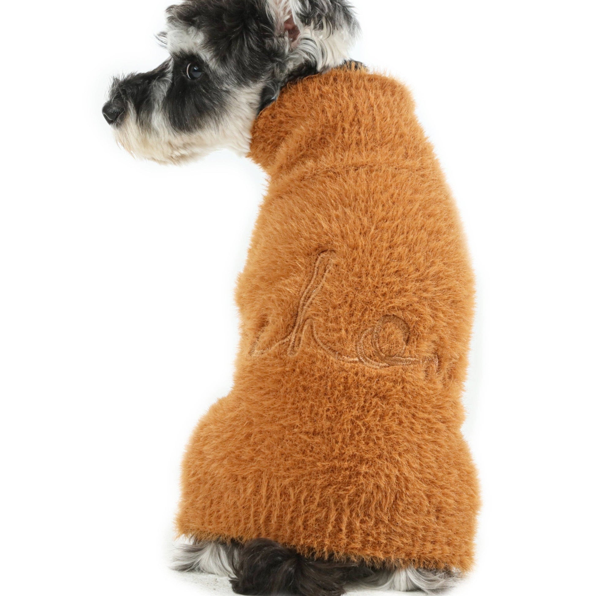 Dog wearing a brown knitted sweater on a white background