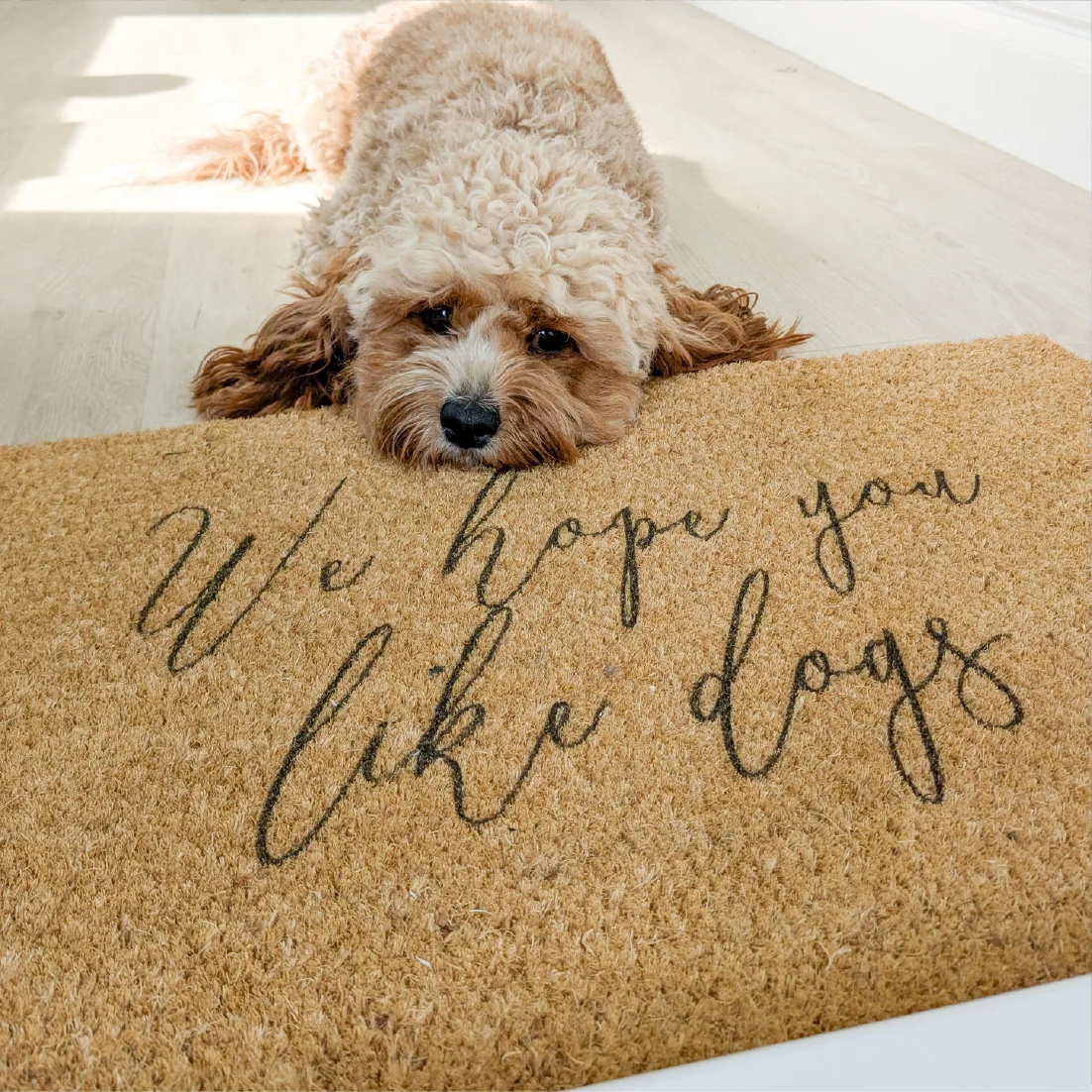 We Hope You Like Dogs Doormat
