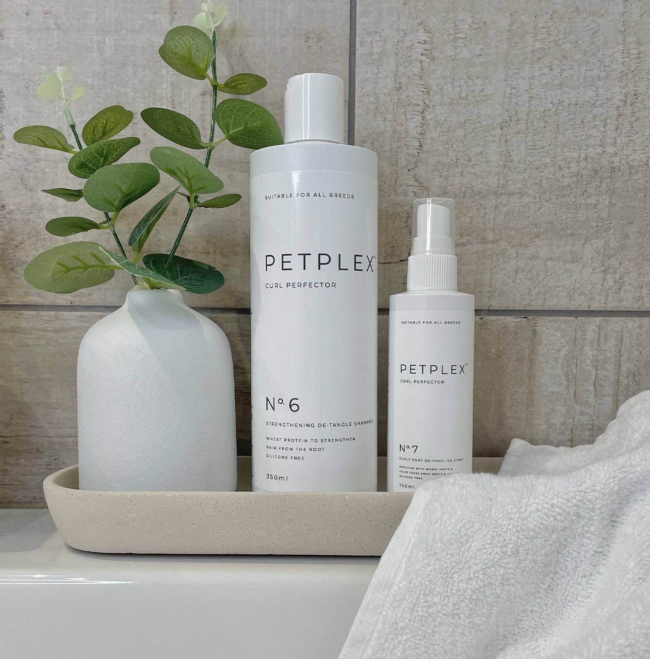 PetPlex Curl Perfecter Detangling Spray used on a curly-coated dog