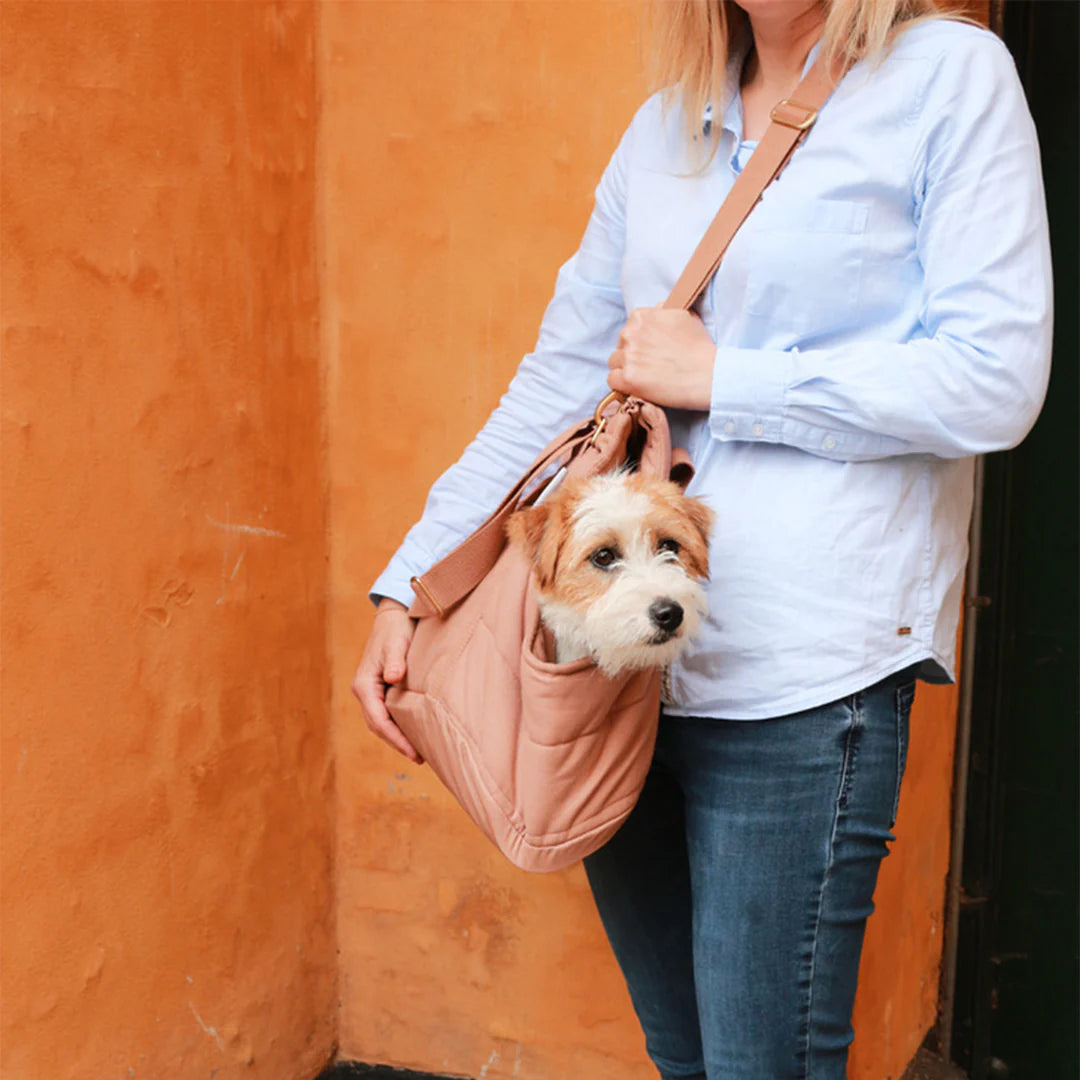 Person holding a pink bag with a small dog peeking out against an orange wall.