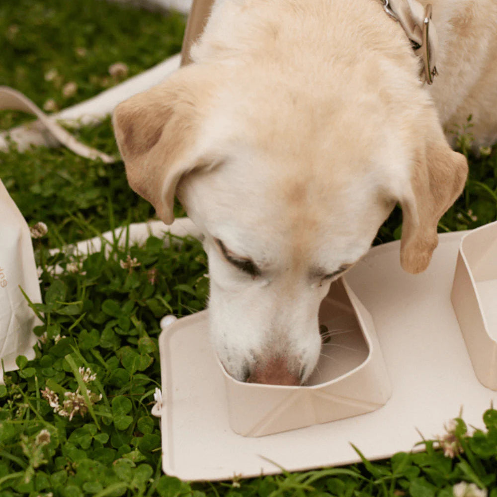 Close-up detail of the maxbone portable bowls