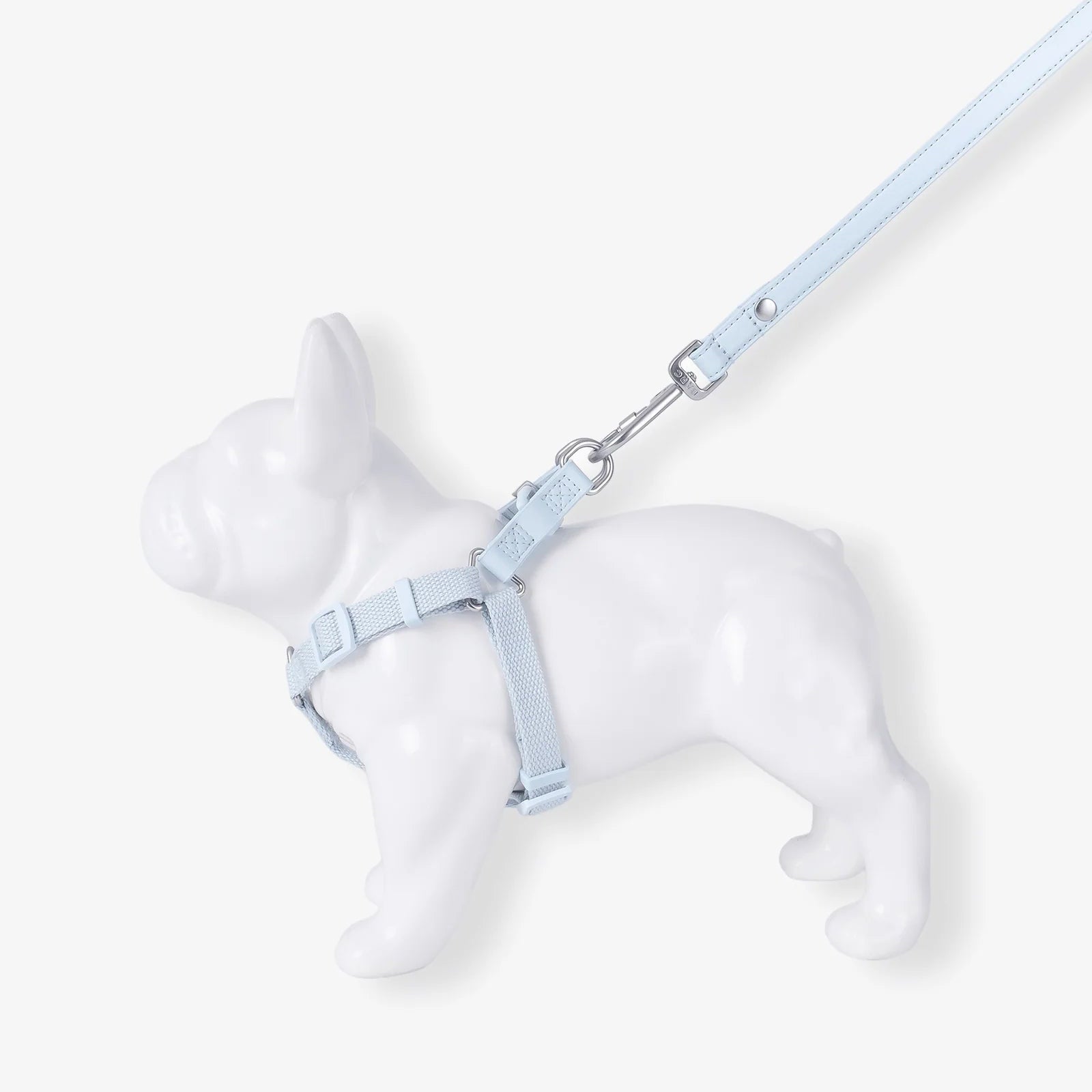 White dog model wearing a light blue harness and leash on a white background