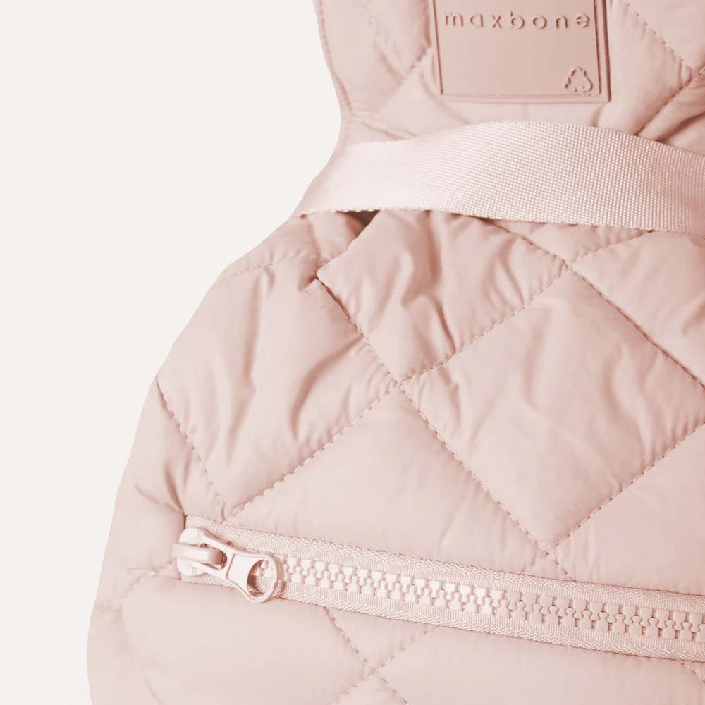 Lightweight hands-free pet carrier by maxbone