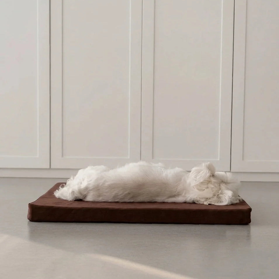 Siesta Brownie chocolate brown dog bed with beige quilted cushion and striped pillow.