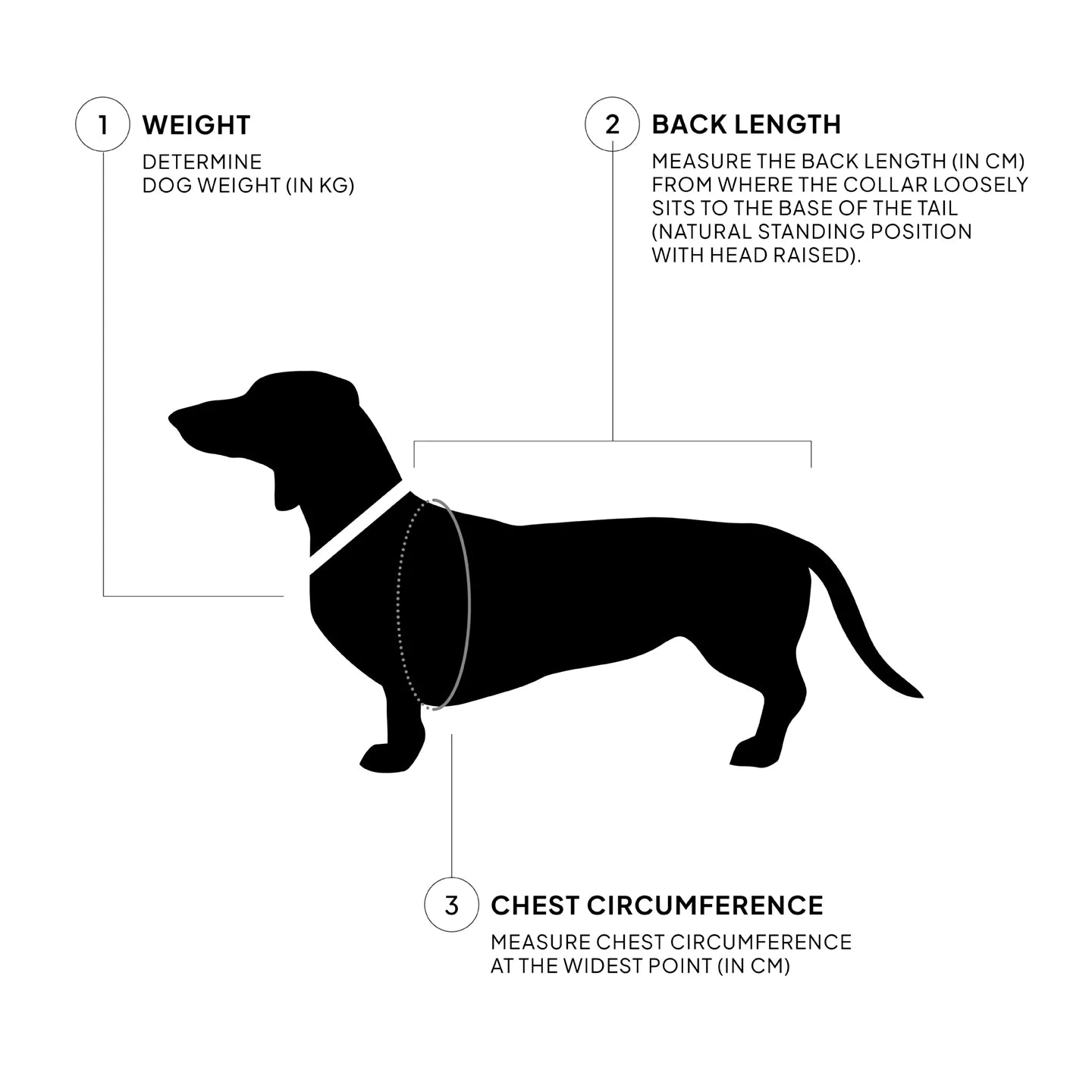 Diagram showing how to measure a dog for a coat, with labels for weight, back length, and chest circumference.