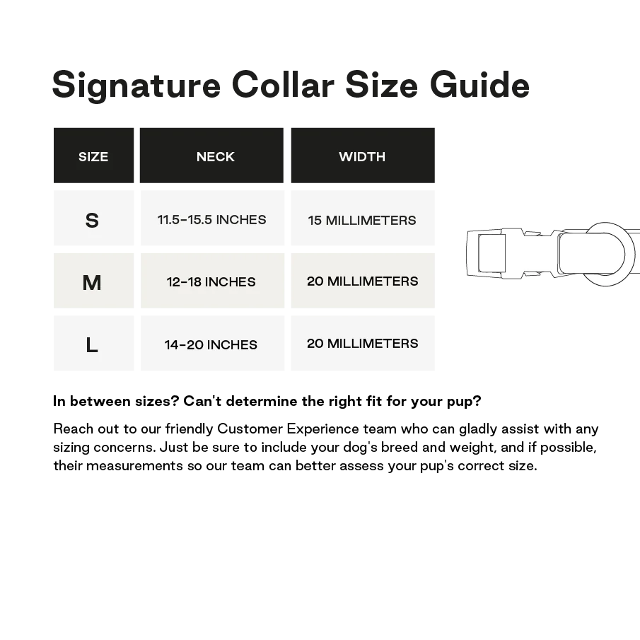 Signature Collar for Dogs - Sand