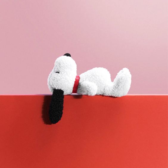<a href="/collections/brand-bon-toys" title="Brand - Bon Ton Toys">Bon Ton Toys</a>