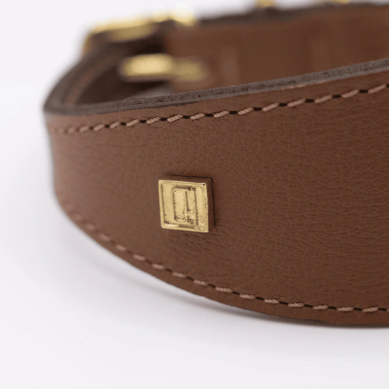 Brown leather dog collar with a gold tag on a white background
