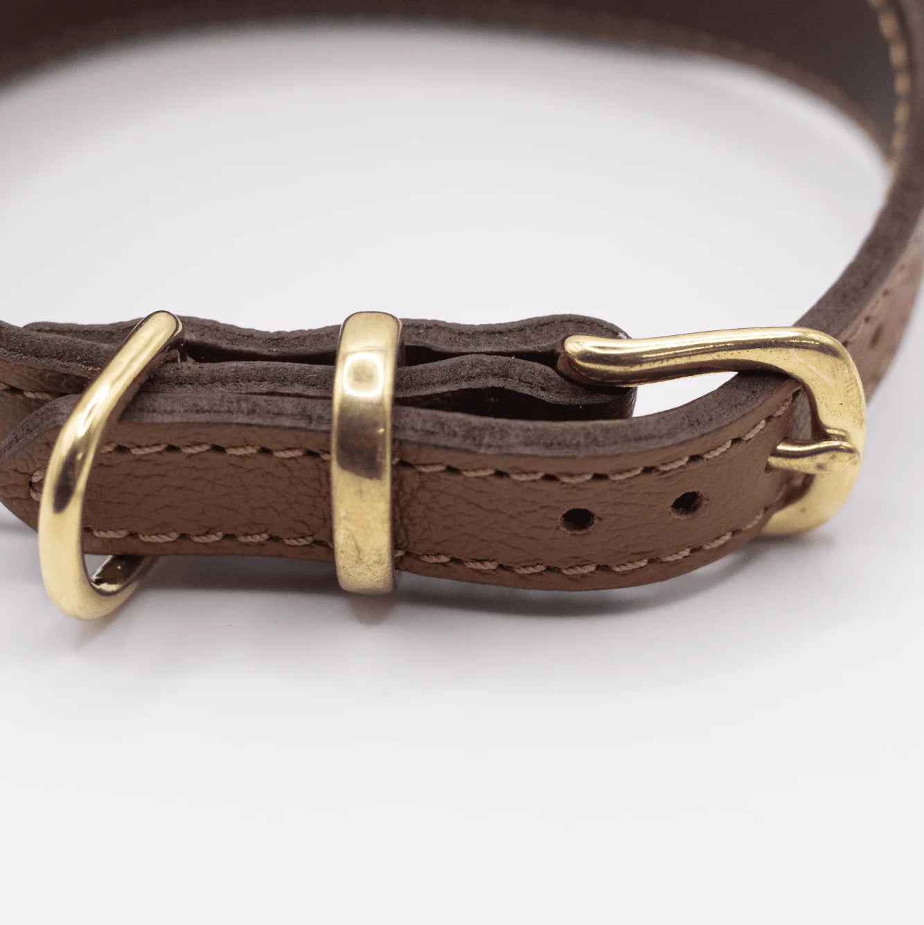 Brown leather dog collar with brass hardware on a white background