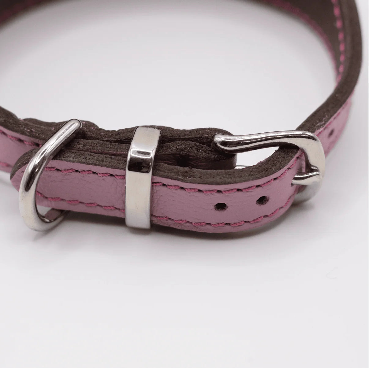 Pink leather dog collar with silver buckle on a white background