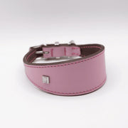 Pink leather dog collar with a silver buckle on a white background
