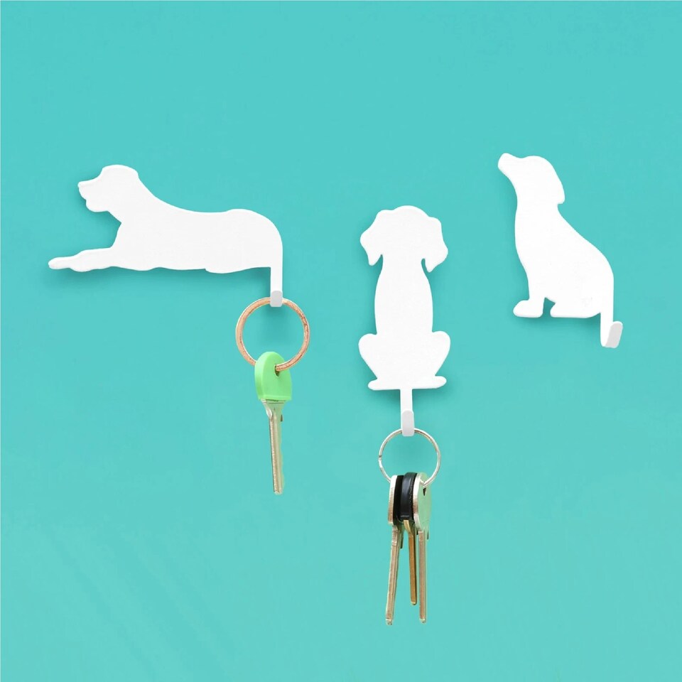 <a href="https://bellandbeau.com/collections/brand-suck-uk" title="https://bellandbeau.com/collections/brand-suck-uk">Suck UK</a>
