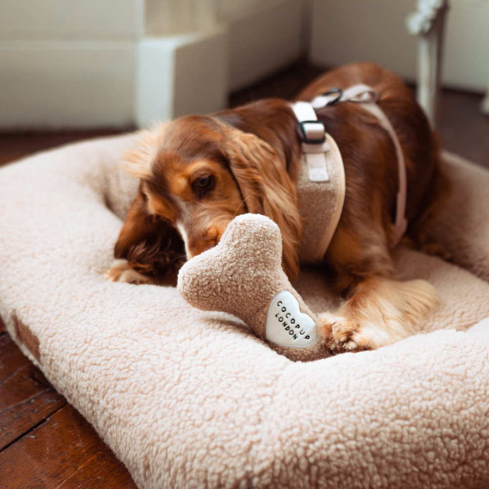 Dog lying on a fluffy bed with a bone-shaped toy